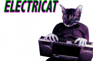 # ElectriCat – Fr